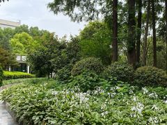 -沪东工人文化宫