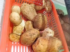 -野菌园·野生菌火锅首创第一家(关兴路总店)