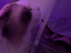 -白兔子密室(长寿路店)