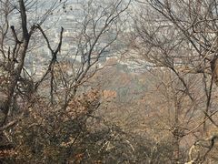 -紫金山天文台