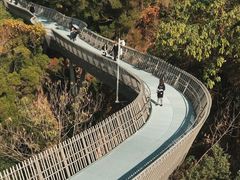 -梅峰山地公园