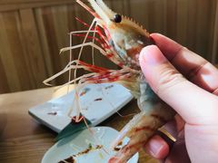 牡丹虾-割烹酱子日本料理(弘基财富广场店)