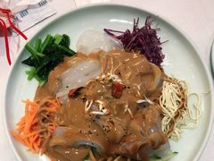 五彩鸡丝大拉皮-天和晟烤鸭店(玉泉西街店)