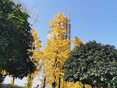 -百林公园-两江幸福广场