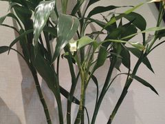 -壹品轩(转塘之江一号店)