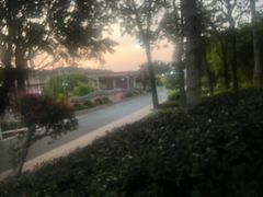-仙岳公园