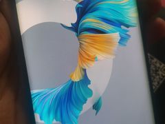 -华为授权体验店(中山公园来福士)