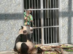 景点-西安秦岭野生动物园