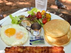-Fern Forest Cafe