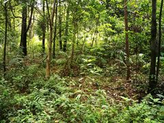 -华南国家植物园-售票处