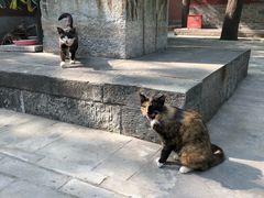 -天幕新彩云国际影城(激光巨幕店)