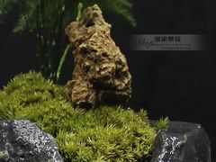 -星巴克(汇亚大厦店)