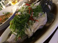 石斑鱼-芽庄MP泰式海鲜海景餐厅