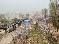 -青藏高原野生动物园