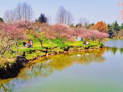 -上海海湾国家森林公园