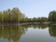 -东郊湿地公园