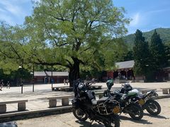 -香山公园-东宫门售票处