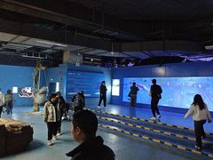 -重庆欢乐海底世界