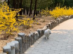 -白水寺森林公园