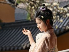 -灵谷景区