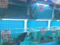 -汤品小厨·海鲜·烧烤·家常菜