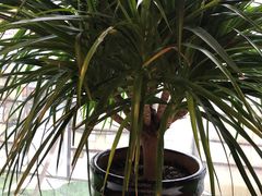 -惠友大虾(太原北街店)