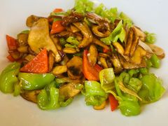 皱皮椒炒牛肝菌-云腾食府·云南菜