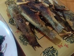 -长寿村