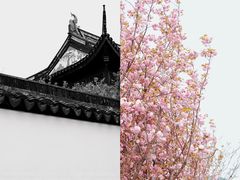-光福景区