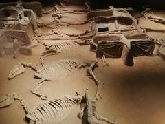 -洛阳周王城天子驾六博物馆