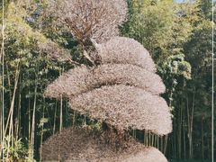 -苏州河梦清园环保主题公园