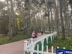 -仁和公园(顺义区)