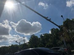 -1点点(新镇路店)