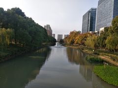 -南翔镇银翔湖公园