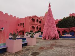 -漳州滨海火山岛自然生态风景区