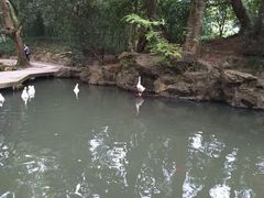 -兰亭风景区