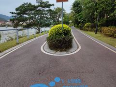 -美的鹭湖森林度假区
