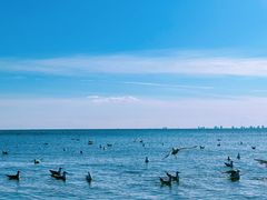 -老虎石海上公园