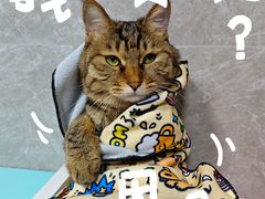 -瑞虹新天地月亮湾