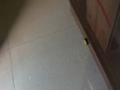 -MJ魔爵全机关真人密室逃脱(青浦万达茂店)