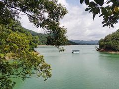 -广州市流溪河国家森林公园