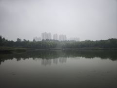 -燕郊植物园