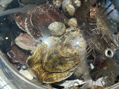 -大锅强·蒸海鲜青岛菜(吾悦广场店)