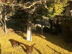 -金石唐风国际温泉会馆