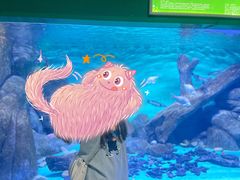 -常州海昌海洋探索馆