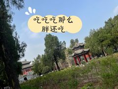-洛阳白马寺