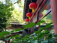 -白家大院·王府宫廷菜(苏州街店)