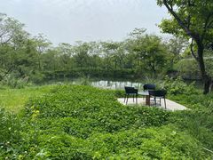 -木守西溪溪隐餐厅