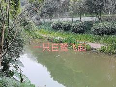 -盘溪河公园