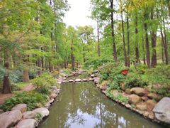 -上海共青森林公园